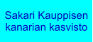 Sakari Kauppisen kanarian kasvisto