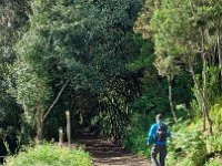 2025-05-11 10.01.41 : matanza