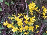 2025-05-11 11.03.08 : matanza