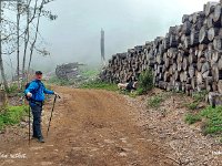 2025-05-11 11.47.52 : matanza